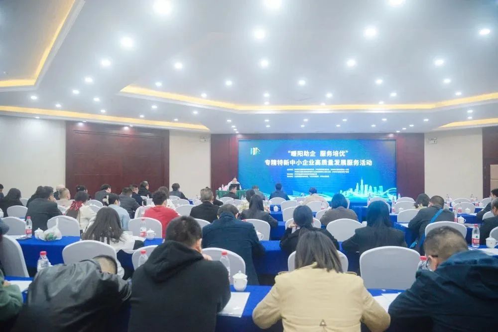 “暖陽(yáng)助企 服務(wù)培優(yōu)”知識(shí)產(chǎn)權(quán)專(zhuān)題講座